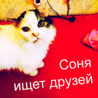 Ð¤Ð¾ÑÐ¾Ð³ÑÐ°ÑÐ¸Ð¸ Ð½Ð° ÑÑÐµÐ½Ðµ ÐÐ½Ð´ÑÐµÑ_335-cJqi1KoZZcSKs4ClTJRz6nb76XcGBTgE.jpg